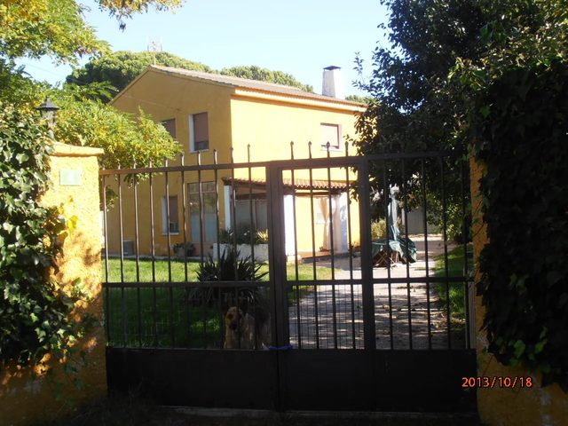 C7 Monte Alto Nº 4